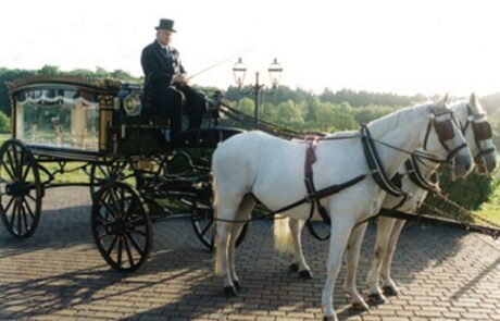 Von Anfang an legten wir sehr viel Wert auf unseren Fuhrpark. Ein Pferdewagen für den Sargtransport, zwei- oder vierspännig, steht ihnen heute noch zur Verfügung.
